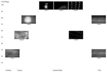 The theory of a phoneme contrastive and complementary distribution. Animacy, Motion, Emotion and Empathy in Visual Music: Enhancing appreciation of abstracted ...