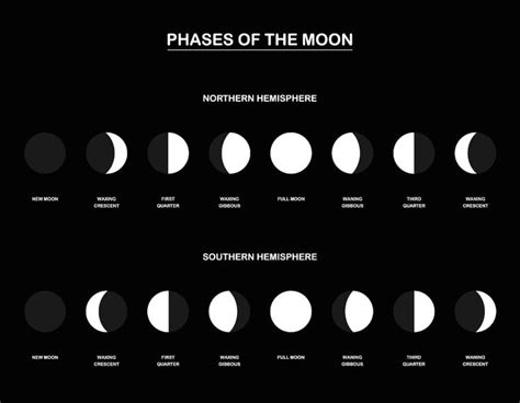 What Are Moon Phases Moon Phases Moon Orbit Moon Phase Chart