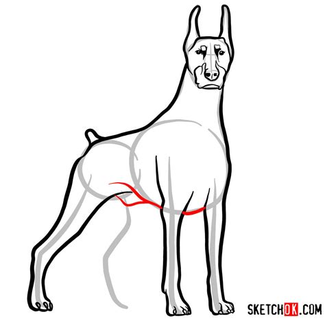 How To Draw The Dobermann Dog Sketchok Easy Drawing Guides
