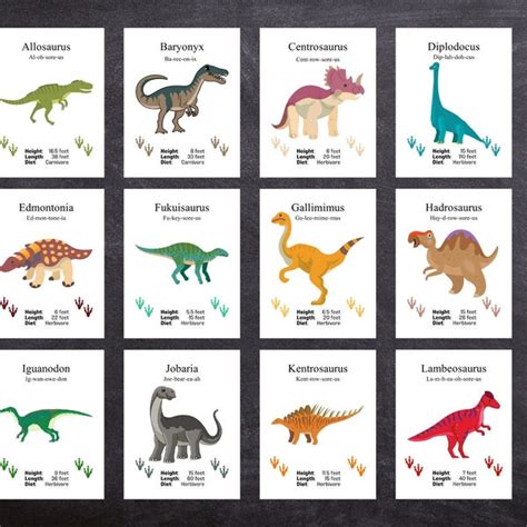 Dinosaur Flash Cards Etsy