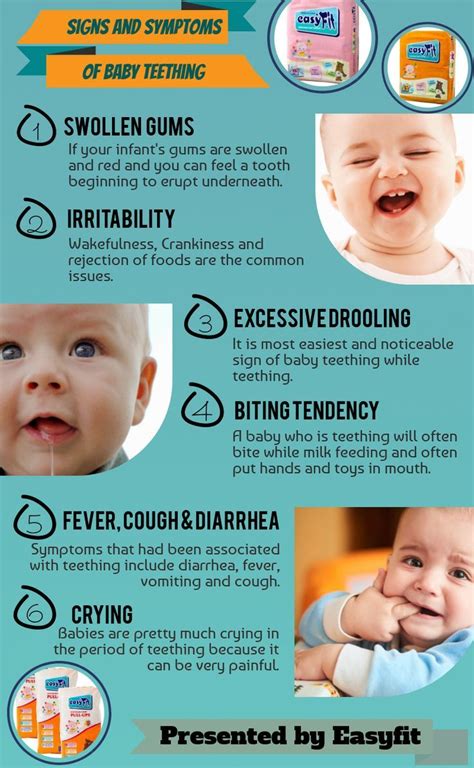 Signs And Symptoms Of Baby Teething Baby Teething Symptoms Baby