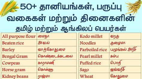 Cereals Pulses And Millets Names In English And Tamil With Pictures