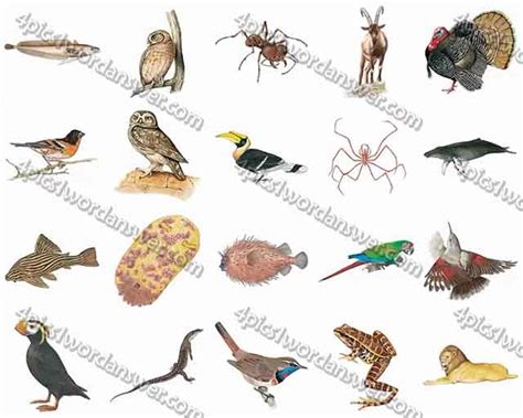 100 Pics Animal Kingdom Level 21 - 40 Answers | 4 Pics 1 Word Daily
