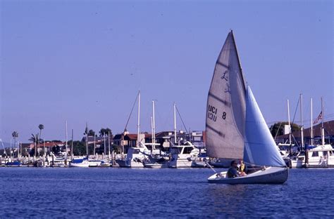 Beginning Sailing Class In The Newport Bay — Calisphere