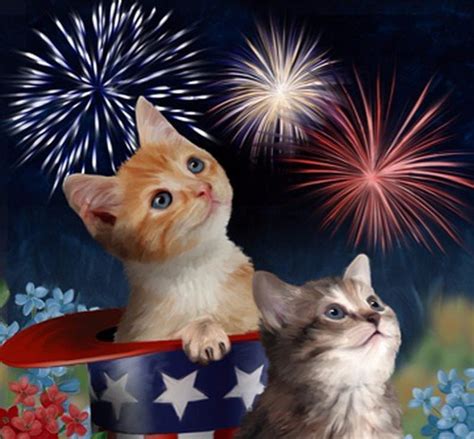 4th Of July Kittens Red White 4th July Fireworks Cats Kittens