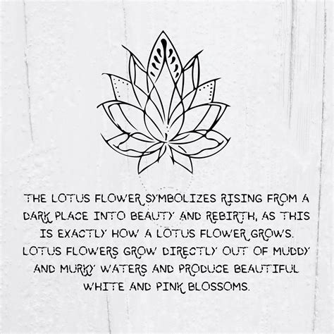Lotus Meaning Lotus Flower Tattoo Meaning Flower Tattoo Meanings