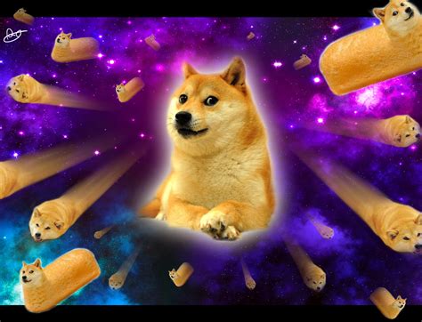 We hope you enjoy our growing collection of hd images to use as a background or home screen for your. HD Doge Wallpaper - WallpaperSafari