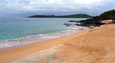 La Selva Nature Reserve For Preserving Puerto Ricos Ecosystems And Leatherback Turtle Nesting