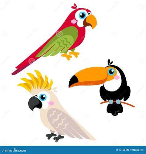Cartoon Parrots Set And Parrots Wild Animal Birds Isolated On White