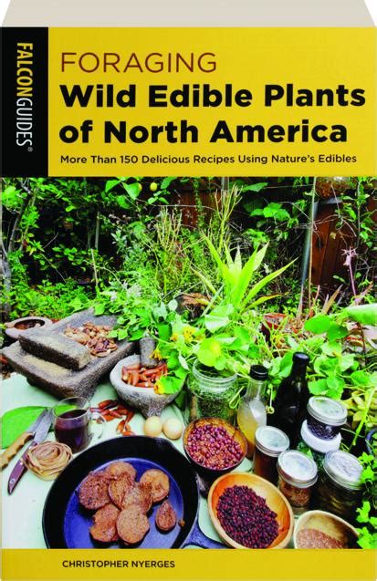 Foraging Wild Edible Plants Of North America Second Edition More Than