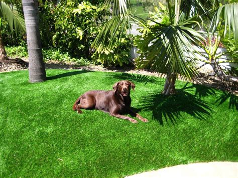 At top dog turf, we're on a mission to help you make the right decision for you, your dog and your budget. How To Remove Pet Odor / Urine Smell on Artificial Grass ...