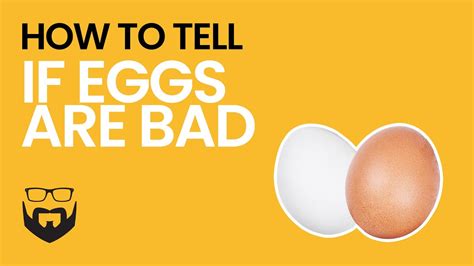 How To Tell If Eggs Are Good Or Bad Youtube