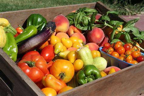 Things we consider vegetables are parts of the plant: Summer Fruits and Vegetables to Grow - JimsMowing.com.au