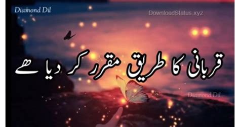 Whatsapp üçün maraqli statuslar | whatsapp video status. Qurbani - Bakrid Whatsapp Status Video - Download Whatsapp ...