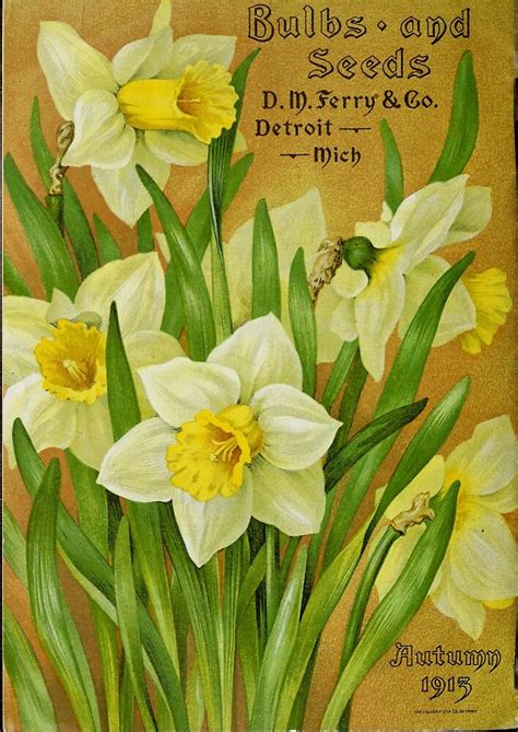 Vintage Daffodils By Douglas E Welch Redbubble