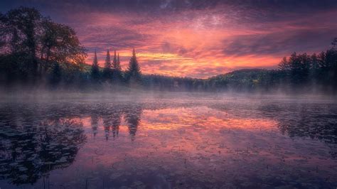 Lake Around Trees With Fog Under Purple Cloudy Sky During Sunset Hd