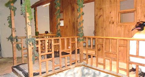 Ticket snow world mumbai entry fees. Snow World Mumbai (Entry Fee, Timings, Images & Location ...