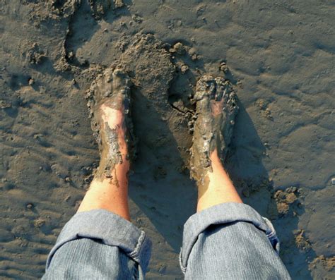 Stuck In Mud Walk Your Why