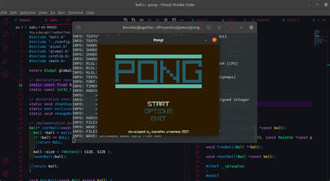 My First Game Made With Raylib Is A Pong Rraylib