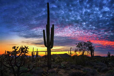 The Colors Of The Desert Photograph By Saija Lehtonen Fine Art America
