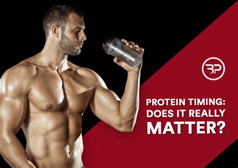 Protein Timing Does It Really Matter Eric Bach Blog
