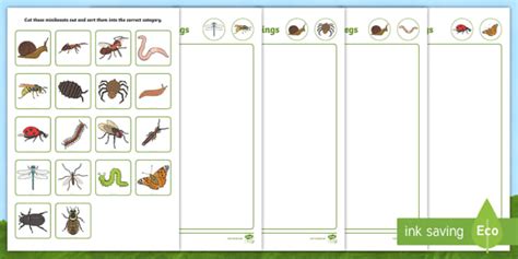 Minibeasts Sorting Activity EYFS Teacher Made