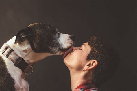 Humans Kissing Dogs Mirror Online