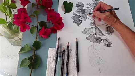 Working With Water Soluble Graphite 2 Youtube