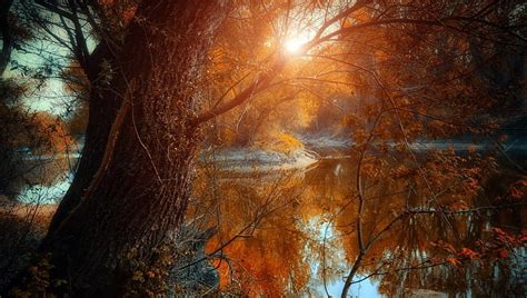 Fantastic Riverscape Through The Trees Autumn River Sunrise Trees