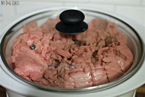 1 cup frozen green beans. Easy Homemade Dog Food with Dr. Harvey's Veg-to-Bowl