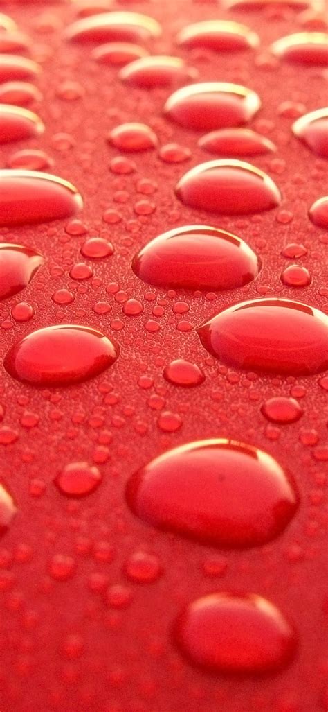 الحبّ كالوردة الجميلة، والوفاء هو قطرات النّدى عليها، والخيانةُ هي الحذاء البغيض الذي يدوس على الوردة فيسحقها. قطرات الندى فوق سطح معدني أحمر - خلفيات