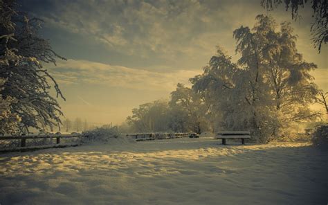 Hintergrundbilder Lichtung Schnee Winter Bäume Raureif Bank