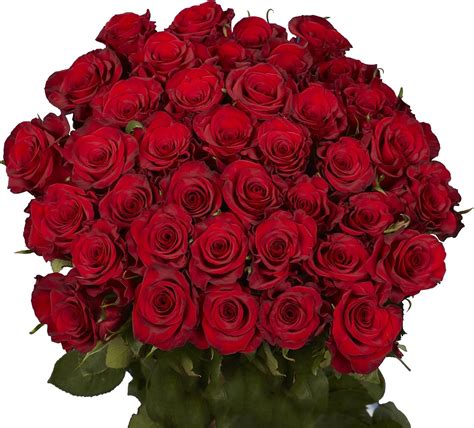 Red Roses Next Day Delivery 50 Fresh Flowers Beautiful