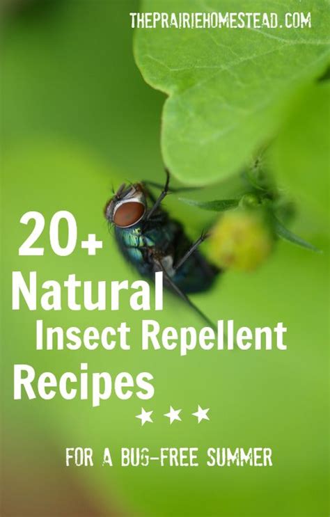 20 Homemade Insect Repellent Recipes Gardens Facts Of