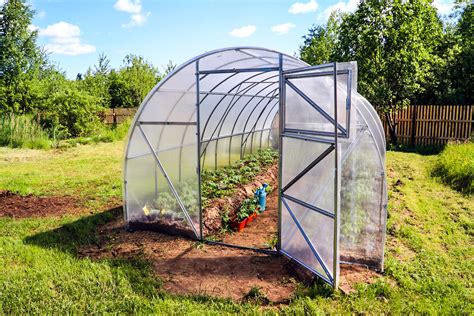 How To Build A Greenhouse Everything You Need To Get Started Weed