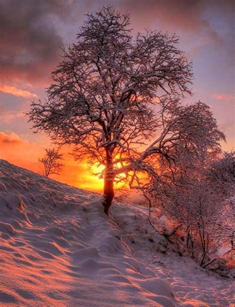 Alp11kartal On Twitter Winter Scenery Winter Landscape Winter Scenes