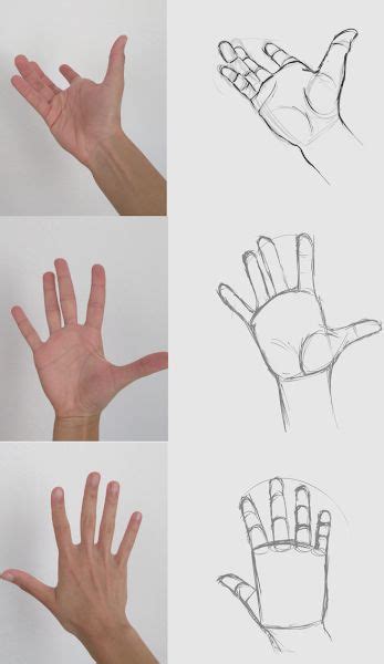 59 tutos idées pour apprendre à dessiner une main Como desenhar