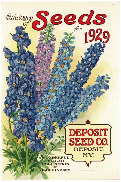 Vintage Seed Packets 1900 1940 Page 6 Thelabelman