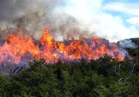 humo de incendios forestales afecta la salud cardiorrespiratoria américa latina y el caribe