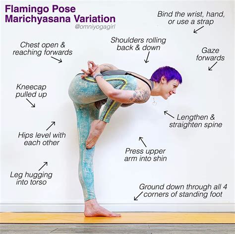 Trends Fur Bird Of Paradise Yoga Pose Variations Yoga X Poses