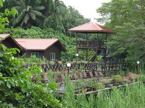 Maybe you would like to learn more about one of these? Kinabatangan Riverside Lodge holiday accommodation in ...