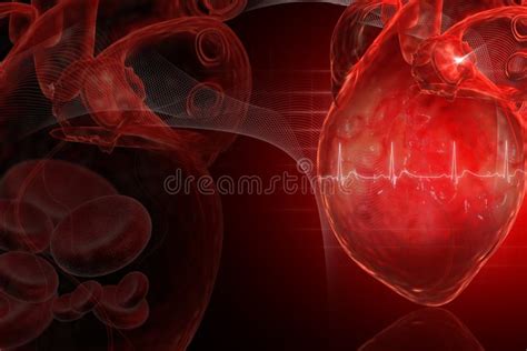 Human Heart Stock Illustration Illustration Of Diagram 16698706