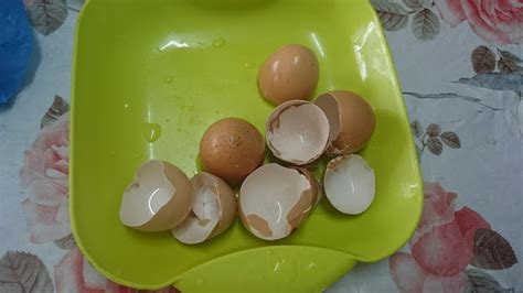 Disini cikgu tersebut kongsikan cara lengkap bagaimana dia selesaikan masalah lipas dalam kereta. Berita TV Malaysia: Cara Halau Lipas Yang Berkeliaran ...