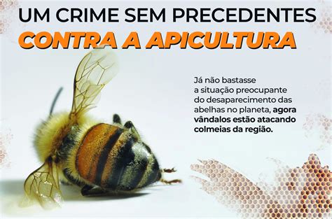 Um crime sem precedentes contra a apicultura - A Tribuna Regional