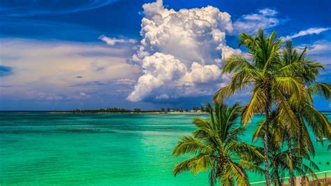 Download Ocean View In The Marshall Islands Wallpaper