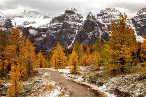 Hikes Canadian Rockies Canadian Rockies Day Hike Newfoundland Travel