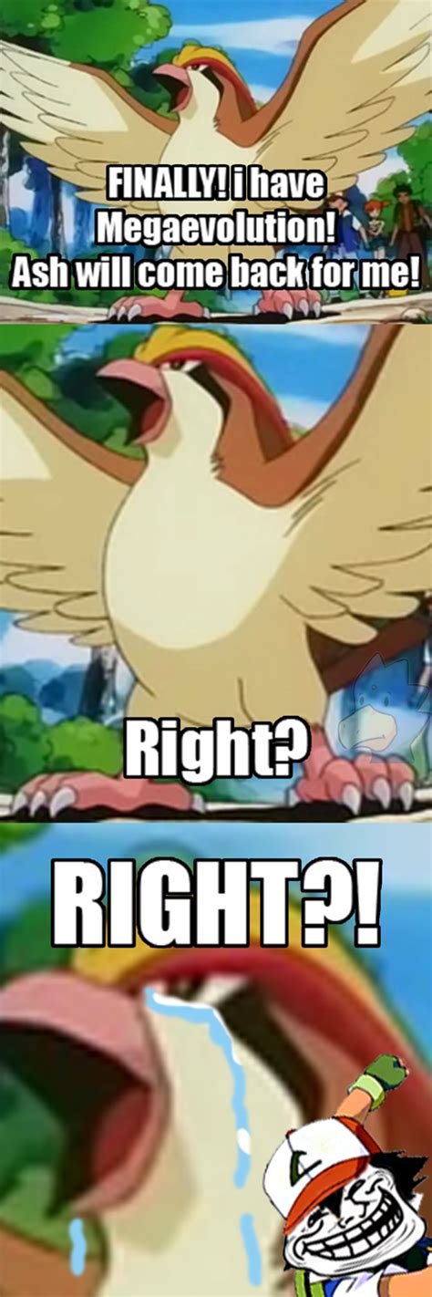 Pokémemes Megas Pokemon Memes Pokémon Pokémon Go Cheezburger