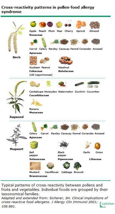 Cross Reactivity Food Allergies Chart