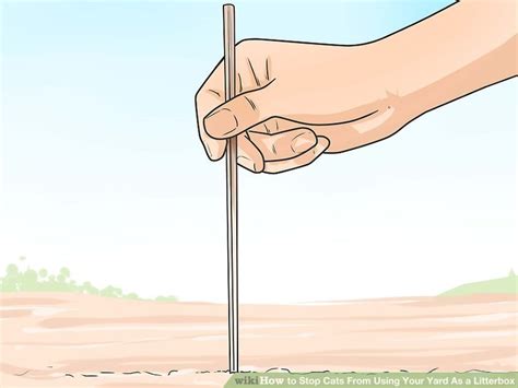 Kitties digging in your garden can be a nuisance and a serious health risk (due to the spread of toxoplasmosis in a proportion of cats' feces). 3 Ways to Stop Cats From Using Your Yard As a Litterbox ...