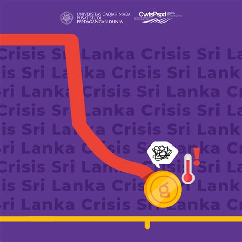 Sri Lanka Economic Crisis From Causes To Control Efforts